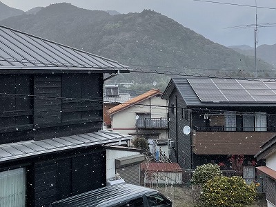 積雪　[ 販売管理Ｇ　大森 ]　2026/2/13